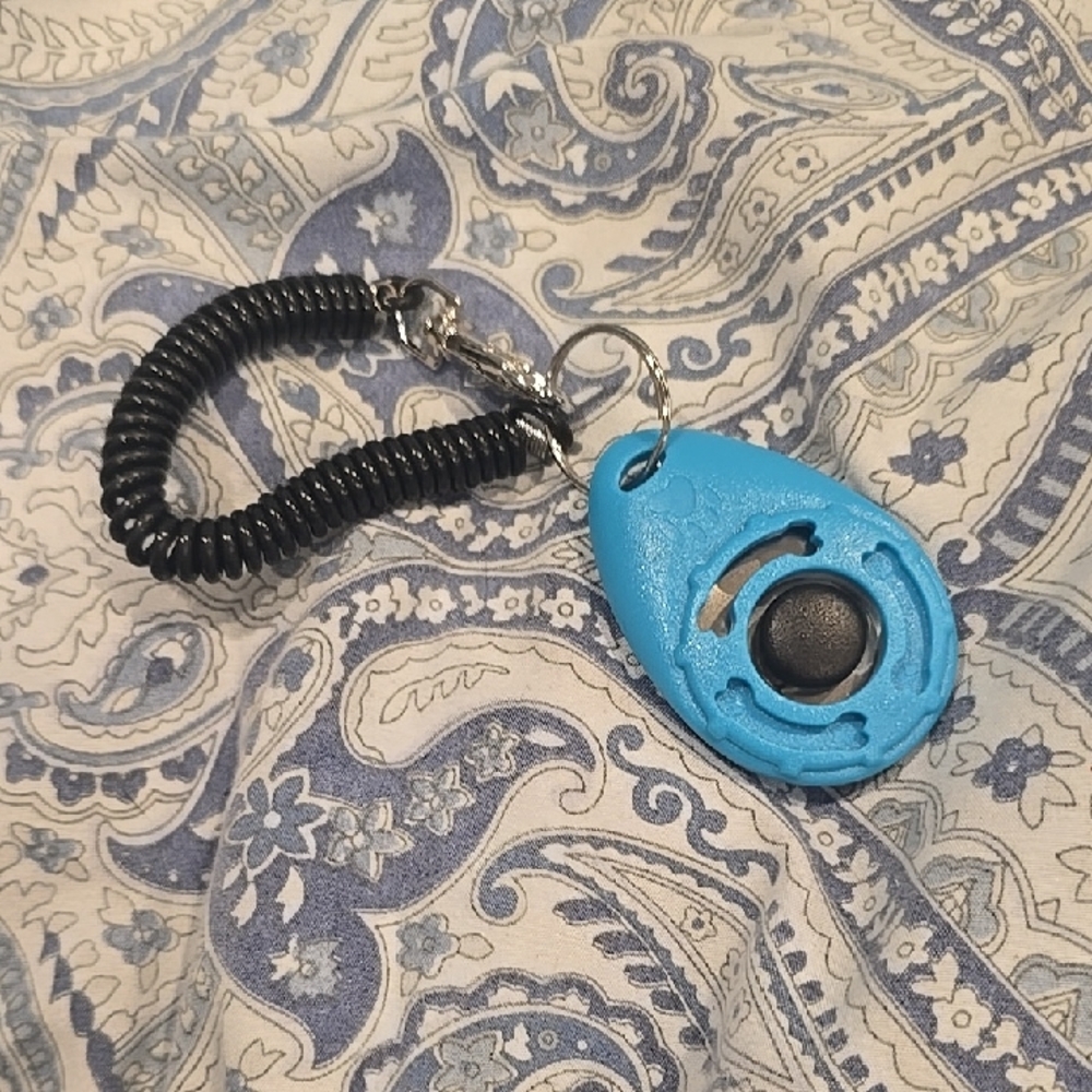❤️10/$10 Nwot Blue Clicker with Black Coil Wristband For Dogs Training